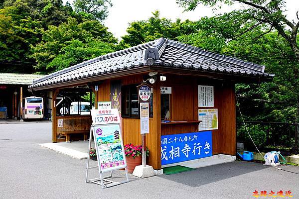 pic pimg tw look2up 1565329838 2783764177 n jpg