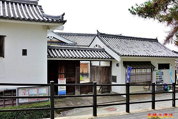 pic pimg tw look2up 1566970544 3159127636 n jpg