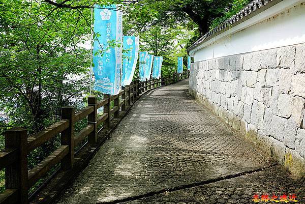 pic pimg tw look2up 1566970547 1888483912 n jpg