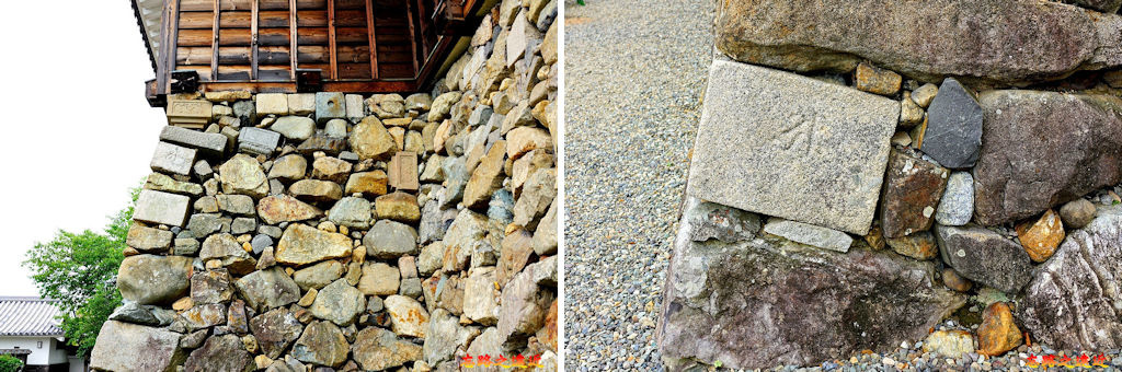 pic pimg tw look2up 1566970554 2266207092 jpg