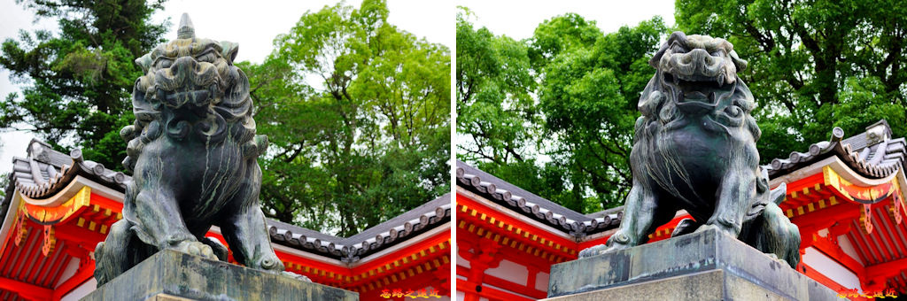 pic pimg tw look2up 1567323705 2390056016 jpg