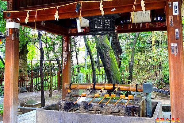 pic pimg tw look2up 1567323707 832904683 n jpg