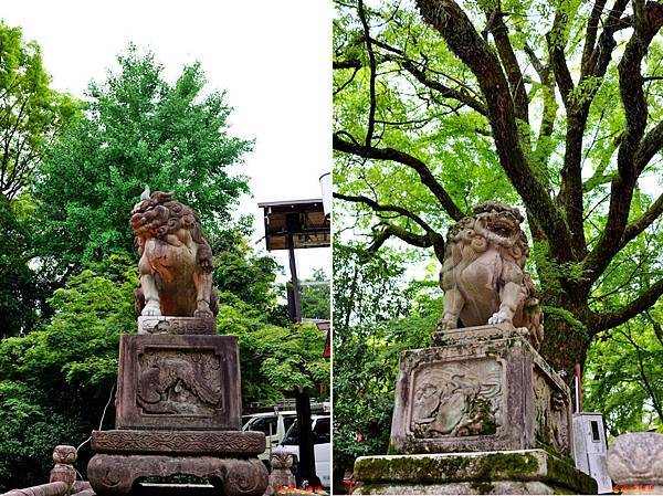 pic pimg tw look2up 1567323709 2301184961 n jpg