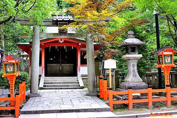 pic pimg tw look2up 1567323711 763721960 n jpg