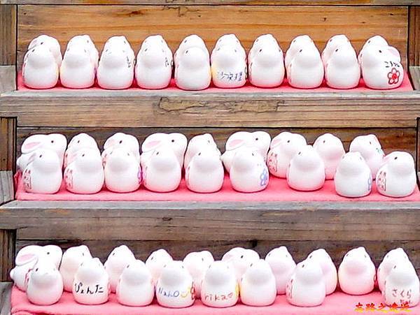 pic pimg tw look2up 1567323716 2061129266 n jpg