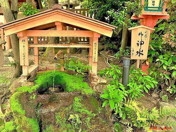 pic pimg tw look2up 1567323725 3516225845 n jpg