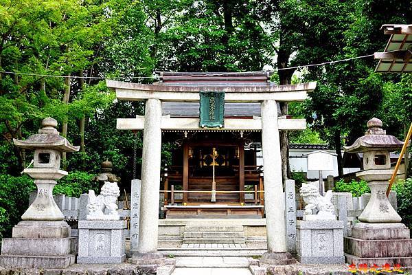 pic pimg tw look2up 1567323727 548864105 n jpg