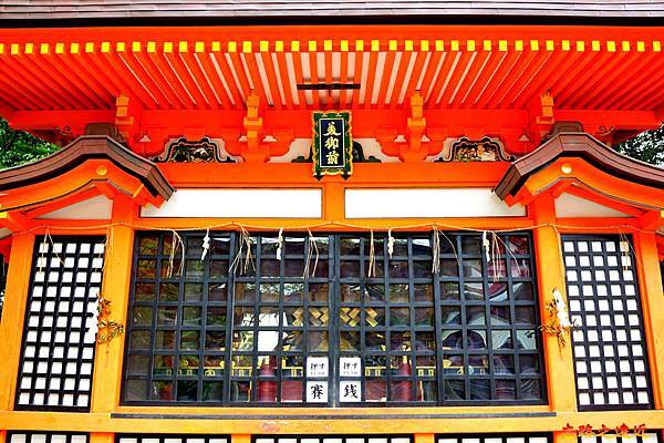 pic pimg tw look2up 1567323731 453329749 n jpg