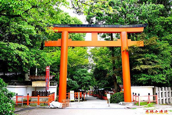 pic pimg tw look2up 1567323734 442526835 n jpg