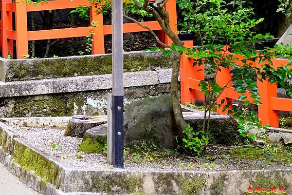 pic pimg tw look2up 1567323738 4051146577 n jpg