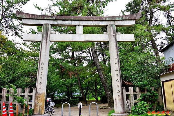 pic pimg tw look2up 1567323746 1640960274 n jpg