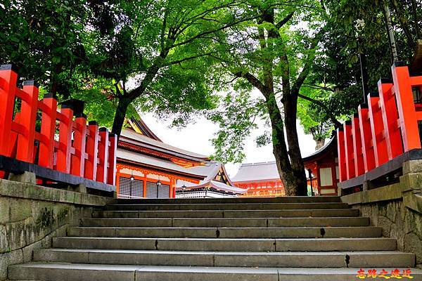 pic pimg tw look2up 1567323747 788688972 n jpg