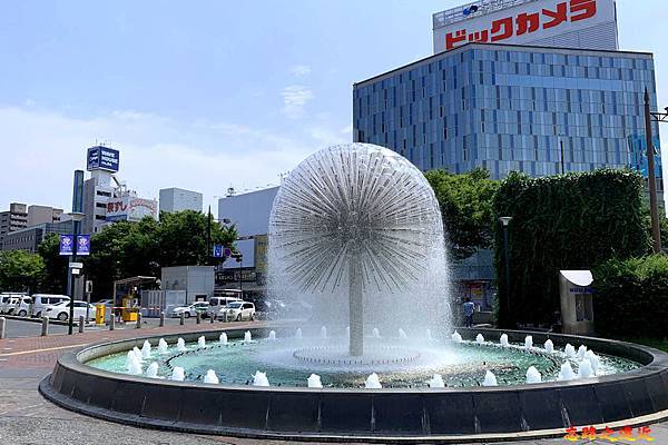 pic pimg tw look2up 1569835741 1578532155 n jpg