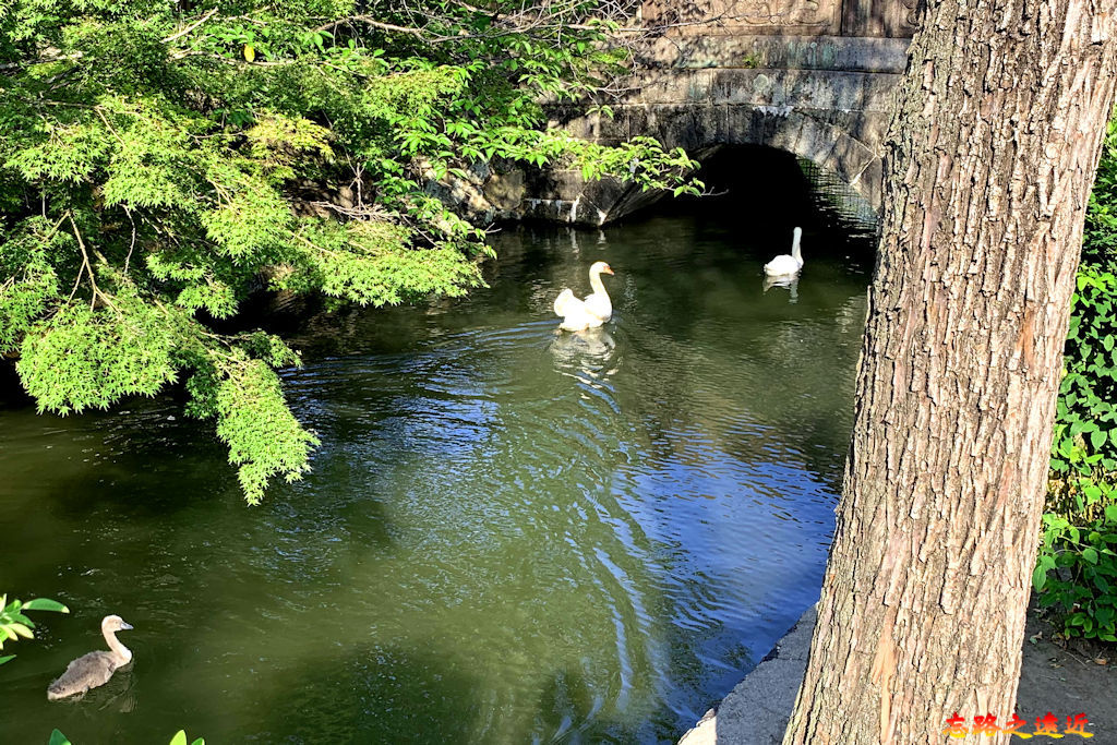 【山陽.岡山.倉敷】倉敷美觀地區散策全覽~~各街道、商家、美術館、長春藤廣場詳細介紹 25 pic pimg tw look2up 1570592160 3750657897 jpg