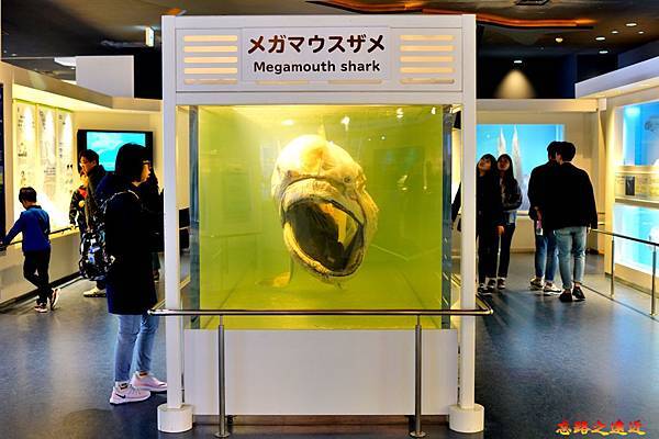 pic pimg tw look2up 1572404657 4043539403 n jpg