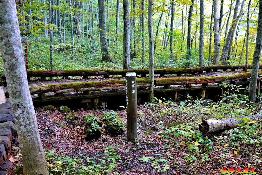 pic pimg tw look2up 1574321152 1941275797 jpg