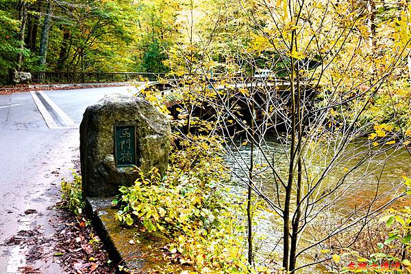 pic pimg tw look2up 1575100610 4275865217 n jpg