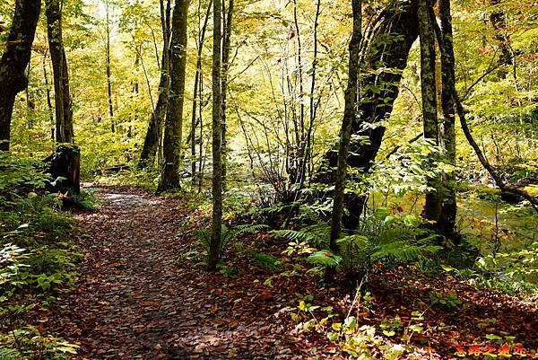 pic pimg tw look2up 1575100626 2789180869 n jpg