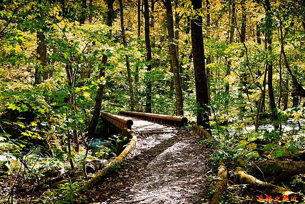 pic pimg tw look2up 1575100638 3345890303 n jpg