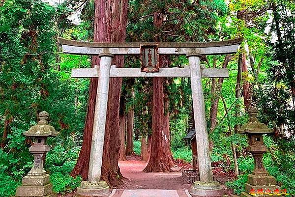 pic pimg tw look2up 1575446578 3779927476 n jpg