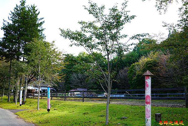 pic pimg tw look2up 1575704644 4224119229 n jpg