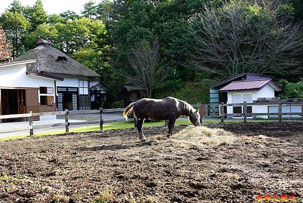 pic pimg tw look2up 1575704645 4241598284 n jpg