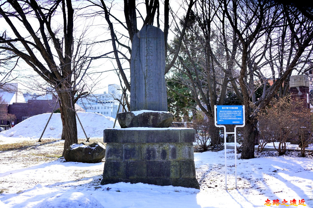 pic pimg tw look2up 1580867998 1737956942 jpg