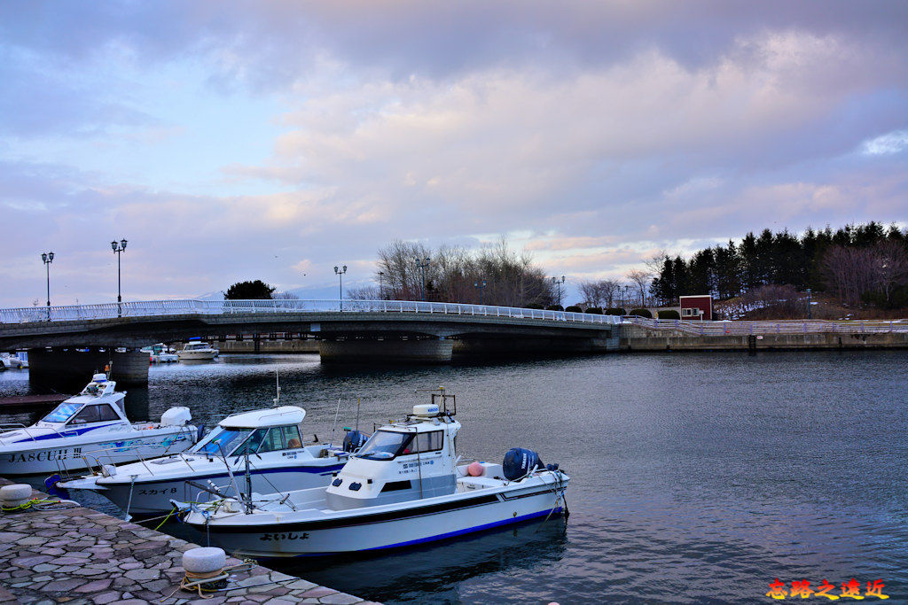 pic pimg tw look2up 1581672457 4031147427 jpg