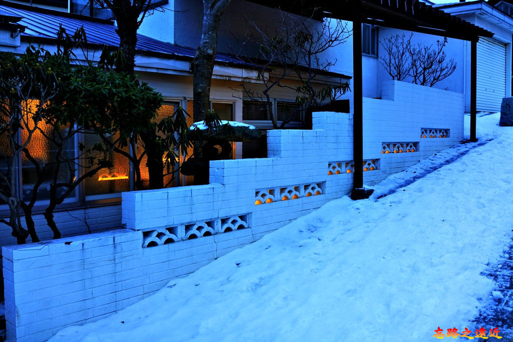 pic pimg tw look2up 1582686205 2006074823 jpg