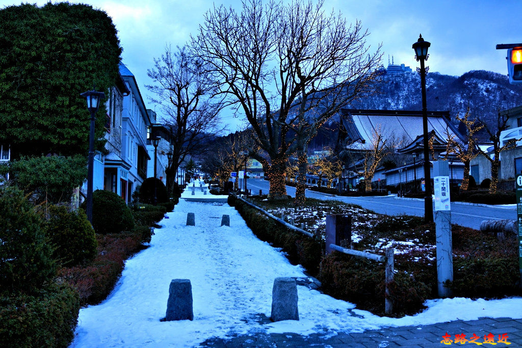 pic pimg tw look2up 1582686206 2329779149 jpg