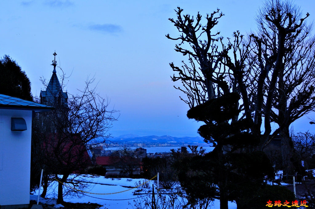 pic pimg tw look2up 1582686214 3653250404 jpg