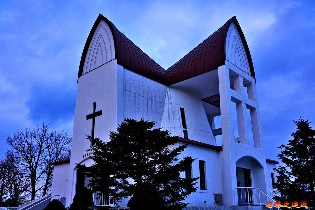 pic pimg tw look2up 1582686217 2391495453 jpg