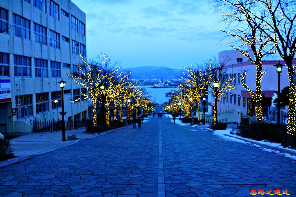 pic pimg tw look2up 1582686221 1157567088 jpg