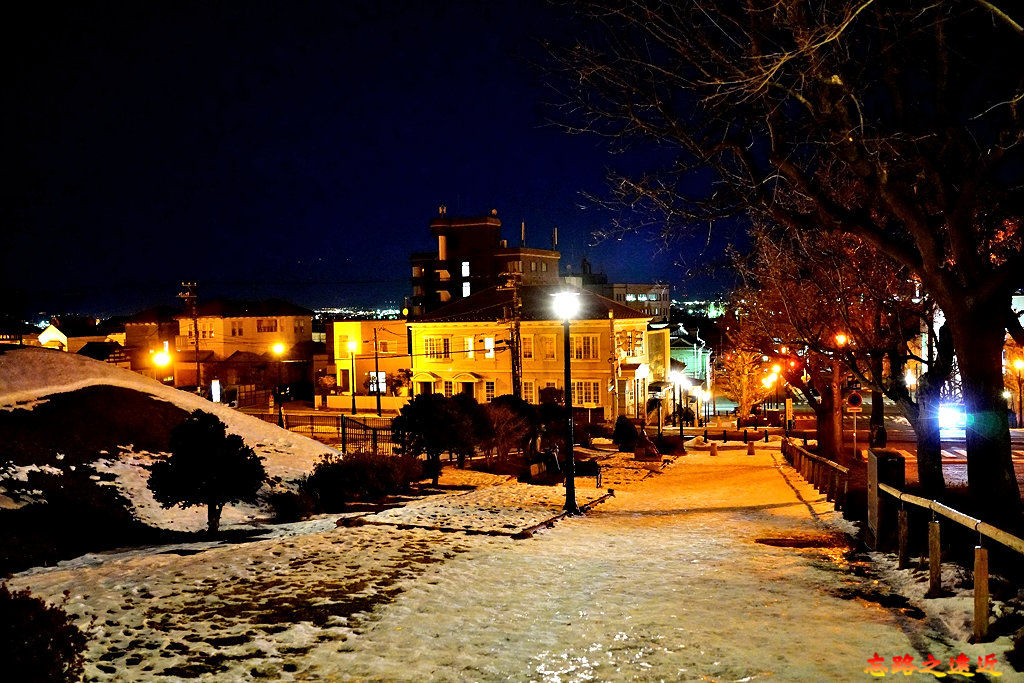 pic pimg tw look2up 1582686236 2637035601 jpg