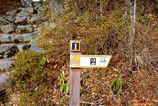 pic pimg tw look2up 1586326405 1309925852 n jpg