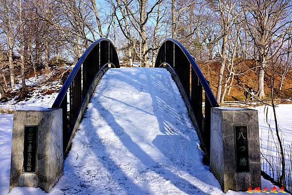 pic pimg tw look2up 1586326420 515709847 n jpg