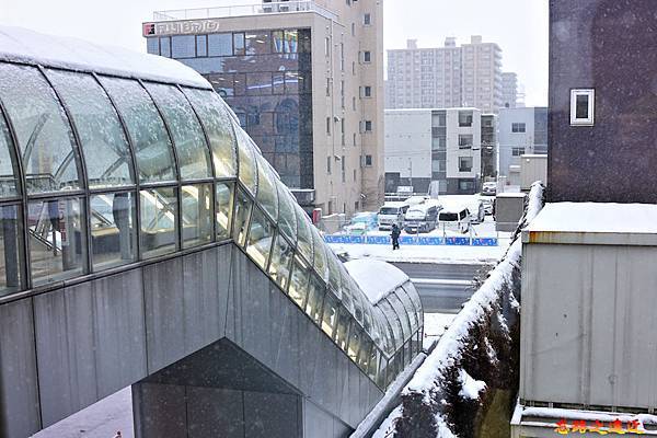 pic pimg tw look2up 1590465921 463949657 n jpg