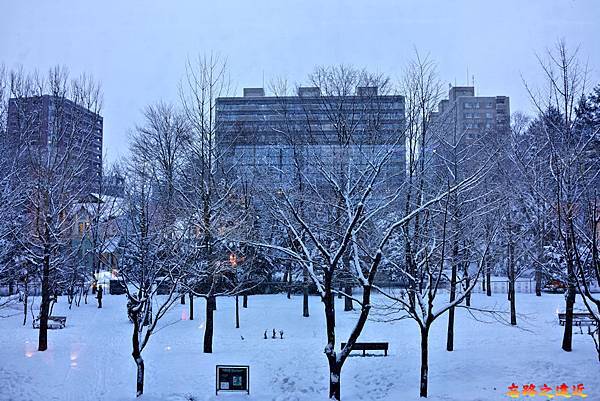 pic pimg tw look2up 1590465927 3521385825 n jpg