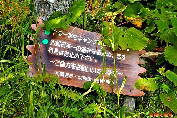 pic pimg tw look2up 1596426664 3621473361 g n jpg