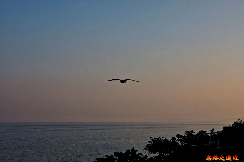 pic pimg tw look2up 1596532587 2924271544 g jpg