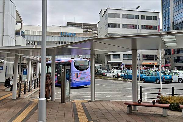 pic pimg tw look2up 1599014396 743102968 g n jpg