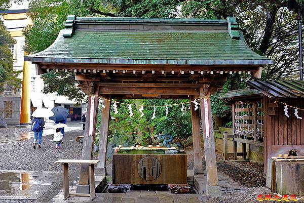 pic pimg tw look2up 1599983866 2680769926 g n jpg