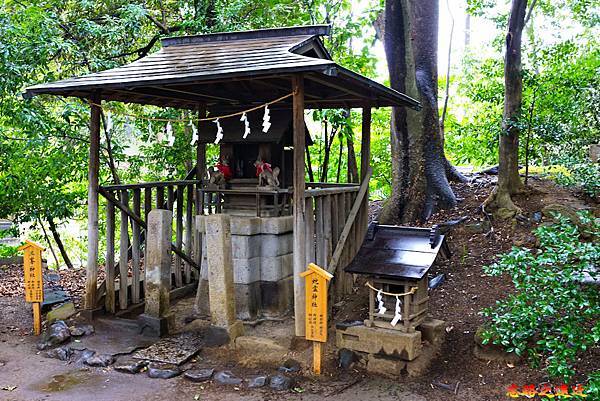 pic pimg tw look2up 1599983870 1170711675 g n jpg