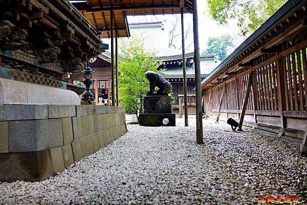 pic pimg tw look2up 1599983874 1013912259 g n jpg