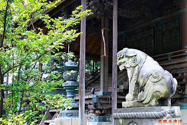 pic pimg tw look2up 1599983874 2435935201 g n jpg