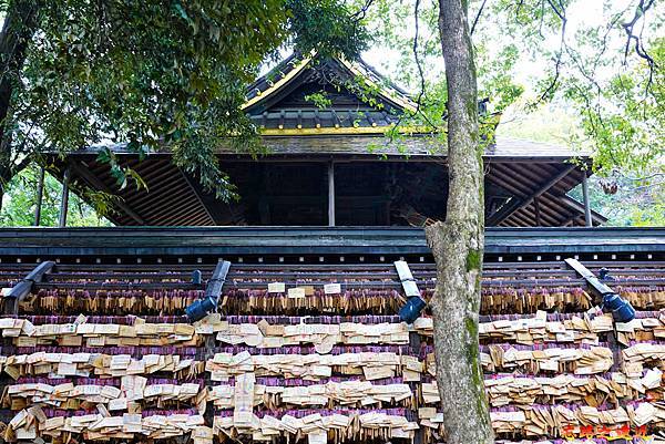 pic pimg tw look2up 1599983874 727766687 g n jpg