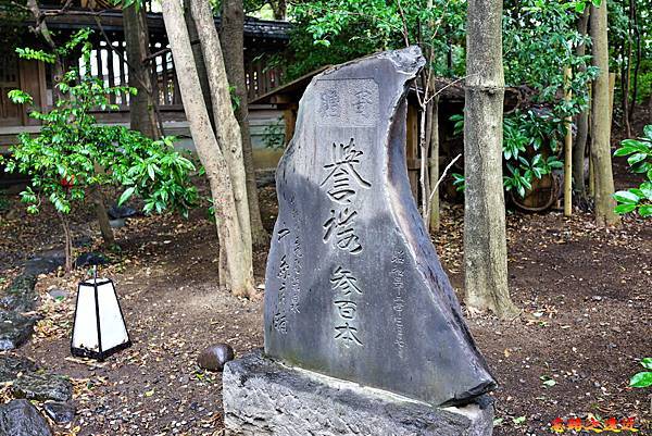 pic pimg tw look2up 1599983878 1762719212 g n jpg