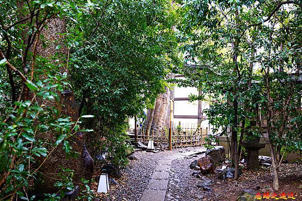 pic pimg tw look2up 1599983879 3125360004 g n jpg