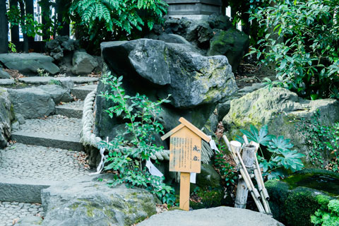 pic pimg tw look2up 1599983881 2041535920 g jpg