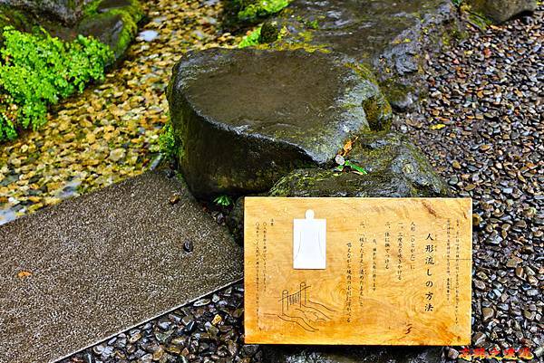 pic pimg tw look2up 1599983882 3359864075 g n jpg